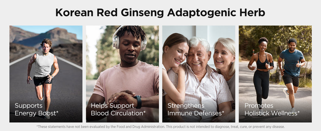 JUNG KWAN JANG Korean Red Ginseng Honey Paste Daily Stick | Poria Mushroom, Rehmannia Extract Hong Sam Jin Go Daily | Natural Energy Booster for Men & Women, Pre Workout | 30 Count