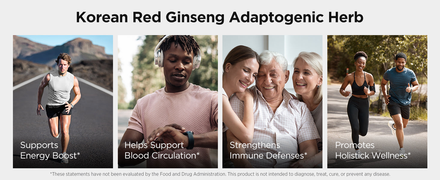 JUNG KWAN JANG Korean Red Ginseng Honey Paste Daily Stick | Poria Mushroom, Rehmannia Extract Hong Sam Jin Go Daily | Natural Energy Booster for Men & Women, Pre Workout | 30 Count